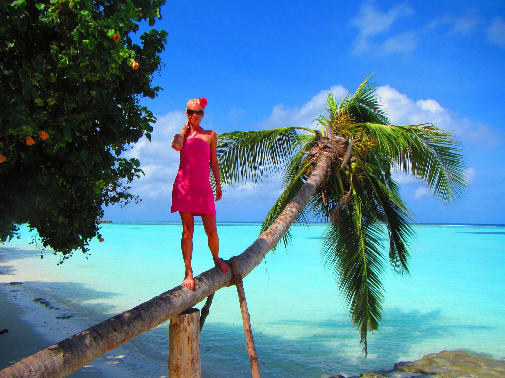 Petra Quick – lögnerska, bedragerska, tjuvkvinnan, manipulerande kvinna