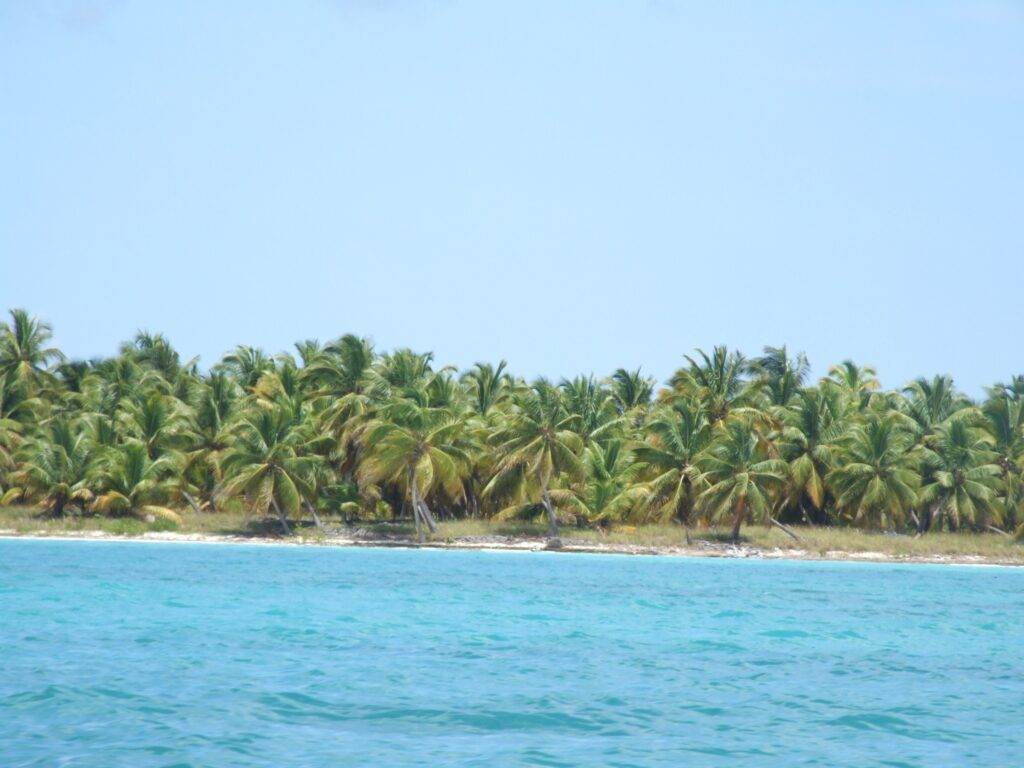 Petra Quick – lögnerska, bedragerska, tjuvkvinnan, manipulerande kvinna