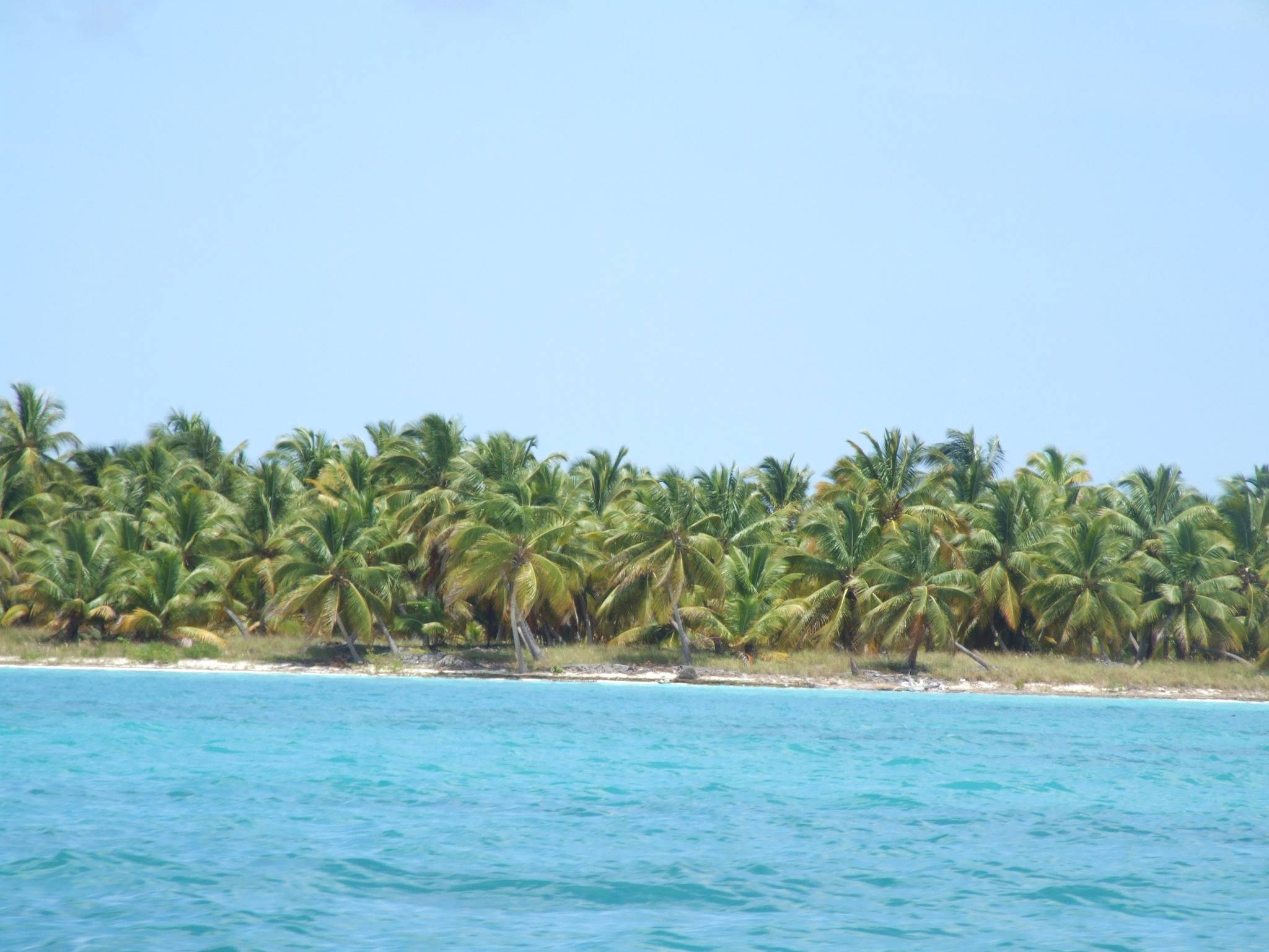 Petra Quick – lögnerska, bedragerska, tjuvkvinnan, manipulerande kvinna