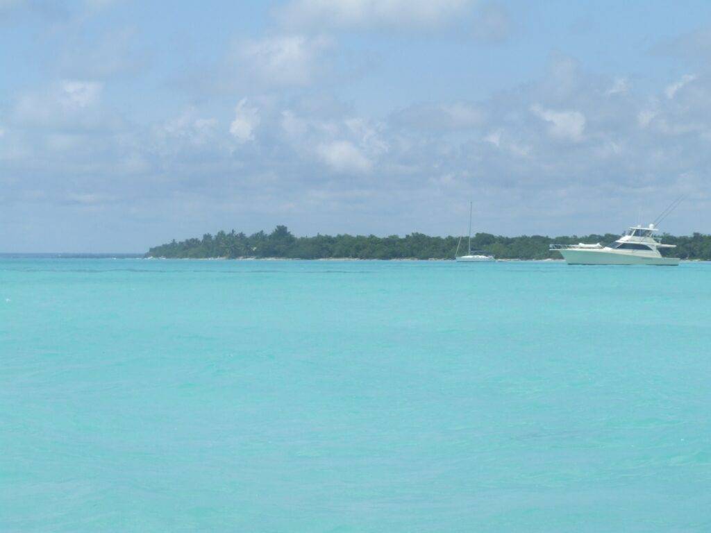 Petra Quick – lögnerska, bedragerska, tjuvkvinnan, manipulerande kvinna